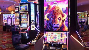jogos 365bet